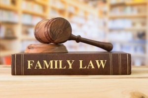 family law book and a gavel