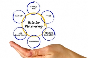 estate planning organizational chart
