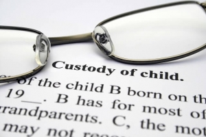 Children Custody Form